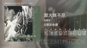 爱火烧不尽 刘德华 吉他谱G调简单版