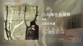 小鸟睡在我身旁 李健 吉他谱G调简单版