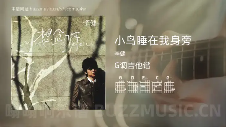 小鸟睡在我身旁 李健 吉他谱G调简单版