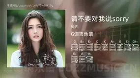 请不要对我说sorry吉他谱G调 何洁 简单版