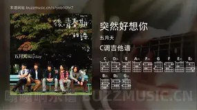 突然好想你吉他谱C调 五月天 简单版