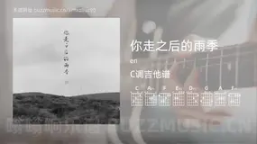 你走之后的雨季 en 吉他谱C调简单版