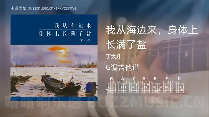 我从海边来，身体上长满了盐 丁太升 吉他谱G调简单版
