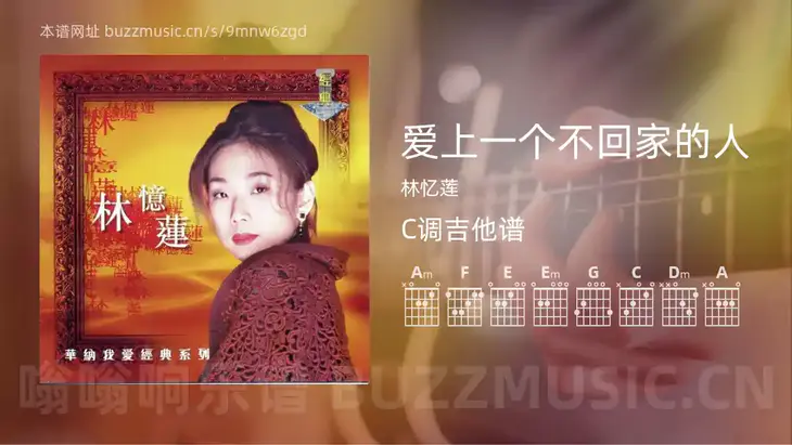 爱上一个不回家的人 林忆莲 吉他谱C调简单版