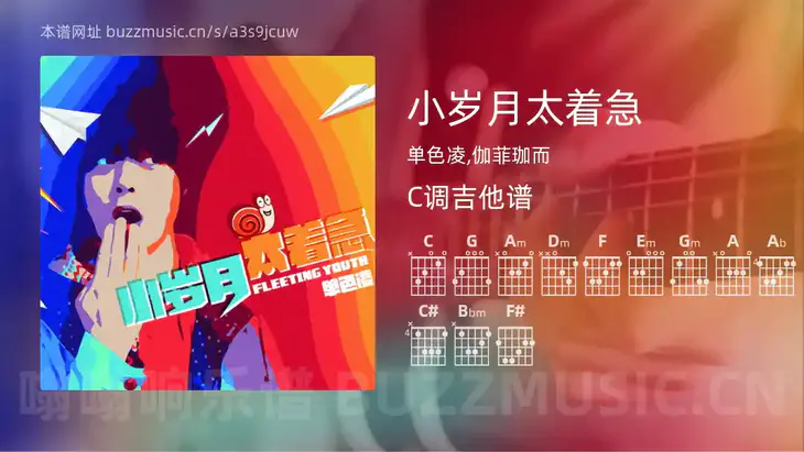 小岁月太着急吉他谱C调 单色凌,伽菲珈而 简单版