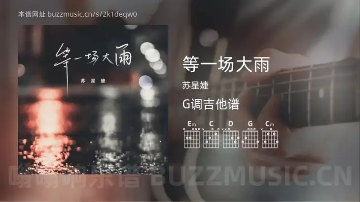 等一场大雨吉他谱G调 苏星婕 简单版