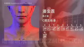 潘金莲吉他谱C调 薛之谦 简单版