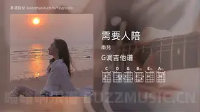 需要人陪 雨兒 吉他谱G调简单版