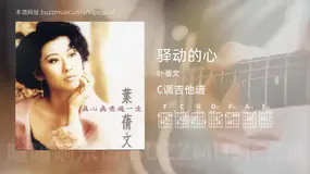 驿动的心 叶蒨文 吉他谱C调简单版