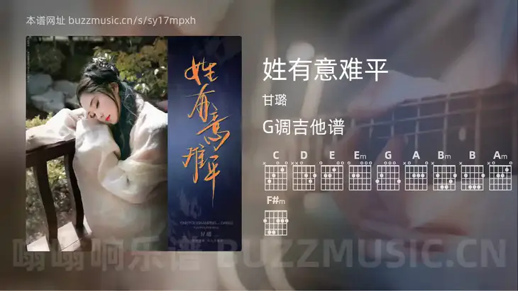 姓有意难平 甘璐 吉他谱G调简单版