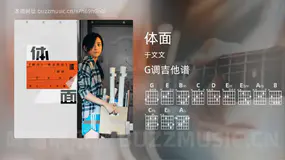 体面 于文文 吉他谱G调简单版