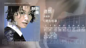 遗憾 许美静 吉他谱C调简单版
