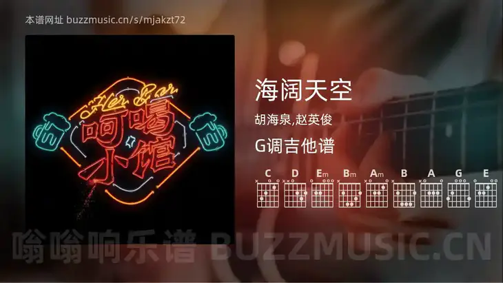 海阔天空 胡海泉,赵英俊 吉他谱G调简单版