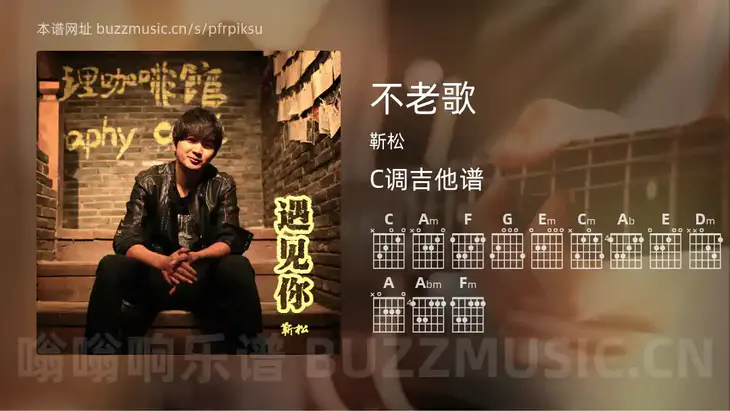 不老歌 靳松 吉他谱C调简单版