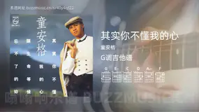 其实你不懂我的心吉他谱G调 童安格 简单版