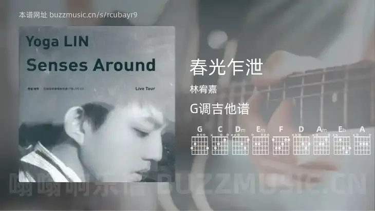 春光乍泄 林宥嘉 吉他谱G调简单版