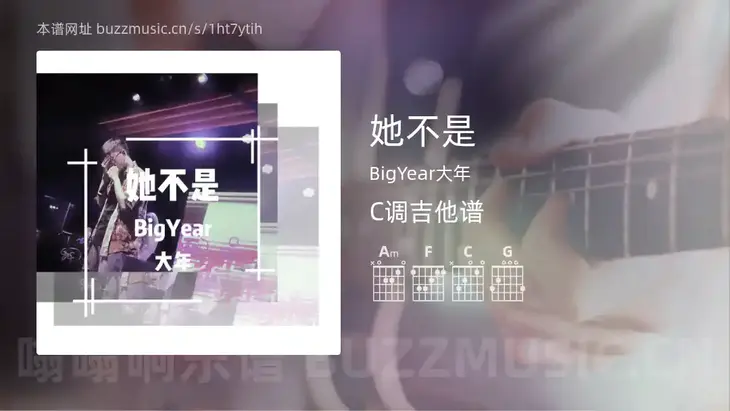 她不是 BigYear大年 吉他谱C调简单版