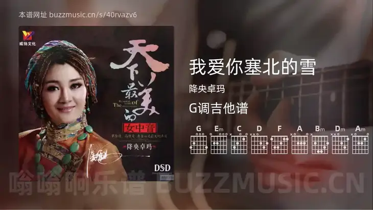 我爱你塞北的雪 降央卓玛 吉他谱G调简单版