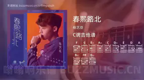 春熙路北 岳艺臣 吉他谱C调简单版