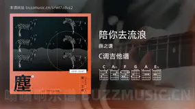 陪你去流浪吉他谱C调 薛之谦 简单版