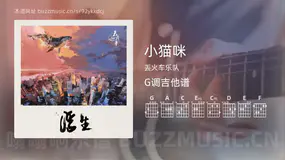 小猫咪 丢火车乐队 吉他谱G调简单版