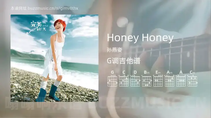 Honey Honey吉他谱G调 孙燕姿 简单版