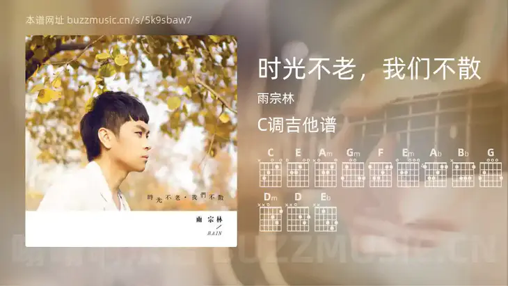时光不老，我们不散 雨宗林 吉他谱C调简单版