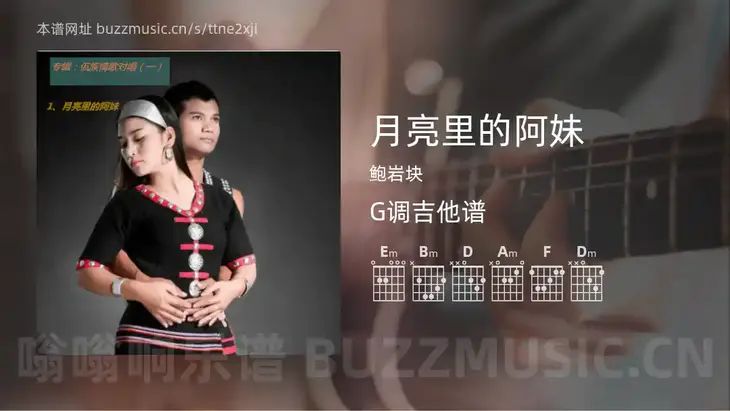月亮里的阿妹 鲍岩块 吉他谱G调简单版
