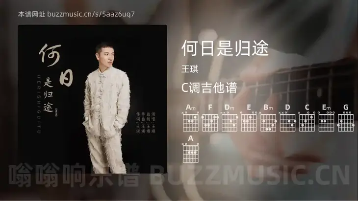 何日是归途 王琪 吉他谱C调简单版