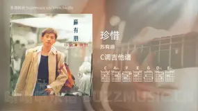 珍惜 苏有朋 吉他谱C调简单版
