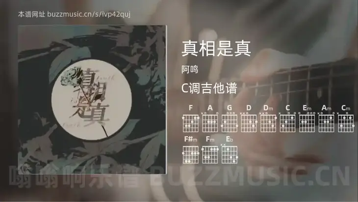 真相是真吉他谱C调 阿鸣 简单版