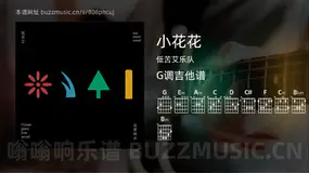 小花花吉他谱G调 低苦艾乐队 简单版