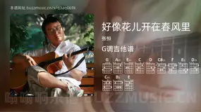 好像花儿开在春风里 张恒 吉他谱G调简单版