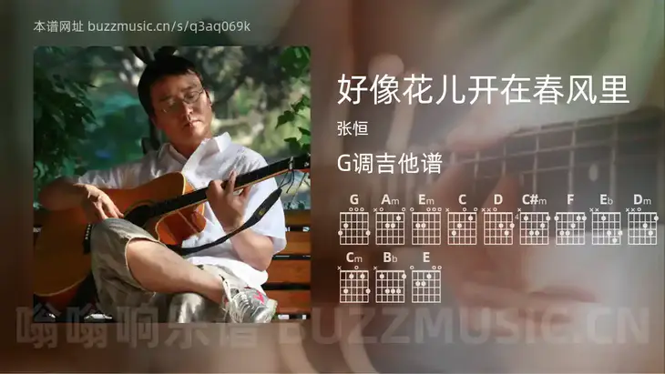 好像花儿开在春风里 张恒 吉他谱G调简单版