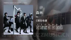 森林吉他谱C调 Mr. 简单版