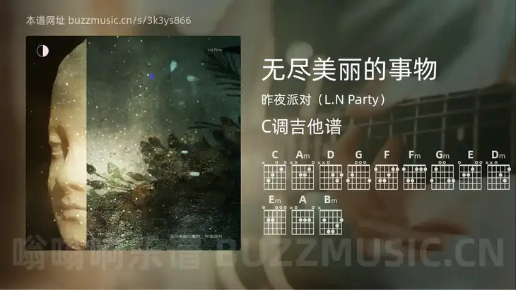 无尽美丽的事物 昨夜派对（L.N Party） 吉他谱C调简单版