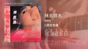 抹去泪水 韩宝仪 吉他谱C调简单版