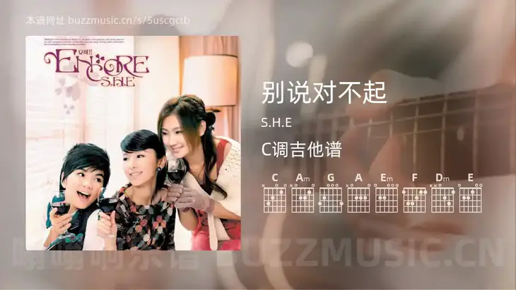 别说对不起吉他谱C调 S.H.E 简单版