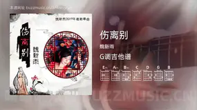 伤离别 魏新雨 吉他谱G调简单版