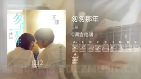匆匆那年吉他谱C调 王菲 简单版