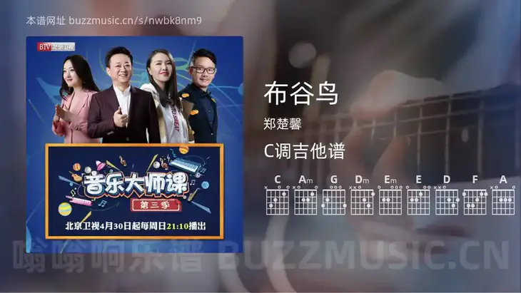 布谷鸟 郑楚馨 吉他谱C调简单版