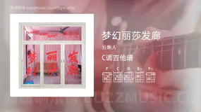 梦幻丽莎发廊 五条人 吉他谱C调简单版