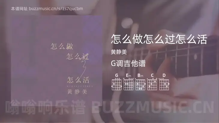 怎么做怎么过怎么活 黄静美 吉他谱G调简单版