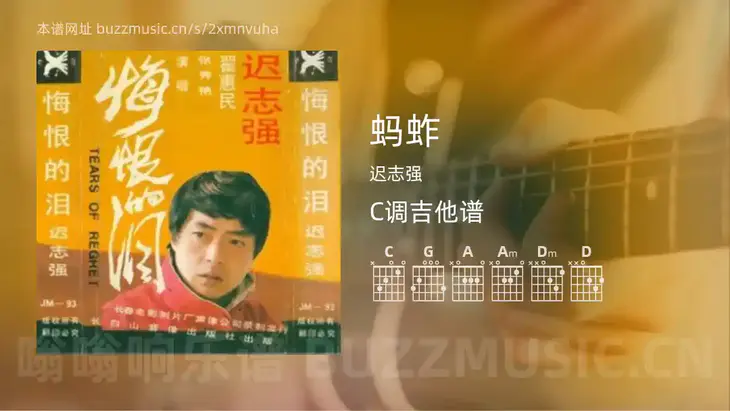 蚂蚱吉他谱C调 迟志强 简单版