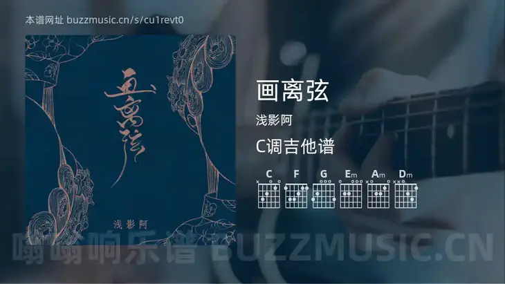 画离弦吉他谱C调 浅影阿 简单版