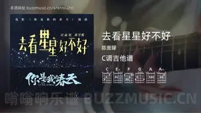 去看星星好不好 陈翌朦 吉他谱C调简单版