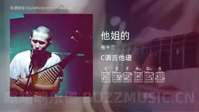 他姐的 尧十三 吉他谱C调简单版
