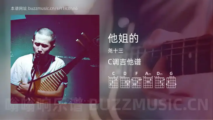 他姐的 尧十三 吉他谱C调简单版