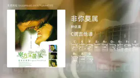 非你莫属 林依晨 吉他谱C调简单版