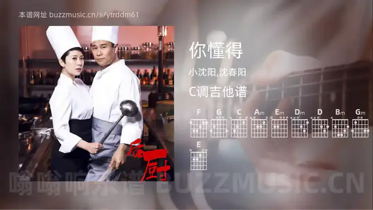 你懂得 小沈阳,沈春阳 吉他谱C调简单版